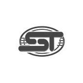 元器件制造商HNST(盛通)主营业务